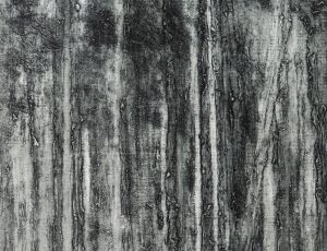 Mary Gillett, 'In Blanchdown Wood II' (collagraph, 100x37cm) £600