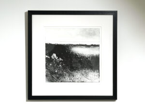 Sara Bevan 'Late Summer Sun, Trevilley Farm' Monotype £230