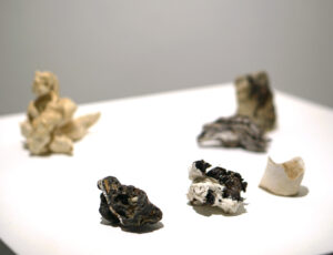 Anna Harris 'postnatural history', Ceramics and found objects. Ranging from 2 x 3 x 3cm to 18 x 17 x 15cm. £1,900 for set (individual prices upon request).