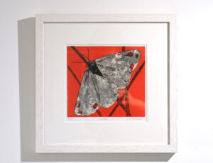 Jess Townsend 'Cinnibar', etching, 35 x 36cm, £230