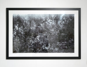 Antony Hosking 'Kent 2', film & giclee print, 66 x 97cm, £700