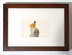 Milly Freeman ‘Rabbit’, Watercolour, 10 x 15cm, £175