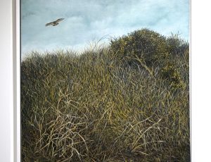Sally Cole ‘Buzzard’, (2023), Oil, 63 x 63cm, £1,500