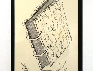 Chris James ‘Tome of Tactics Carried by an Ant’, (2016), Ink, on acetate, 40 x 26cm, £950