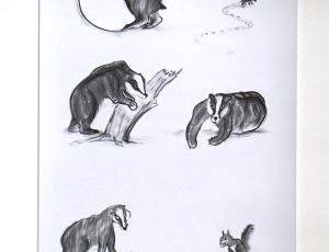 Debbie Prosser ‘Badgers with One Squirrel’, (for 'The Musings of Creatures'), (2016), Charcoal, 180 x 45cm, £100