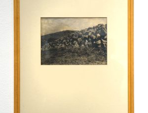 Andrew Lanyon ‘Hedge above Zennor’, 1960's vintage print on litho Paper, 17.5 x 24cm, £1,000