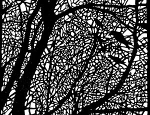 Angela Annesley 'Song of the Woods'