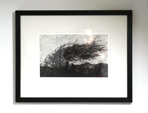 Sara Bevan ‘Hawthorn, Lamorna’, Paper lithograph, 48.5 x 38.5cm, £350