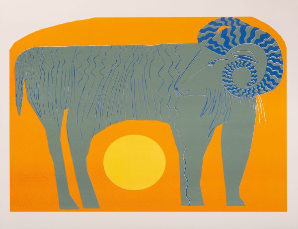 Flora Forshall 'Ram'